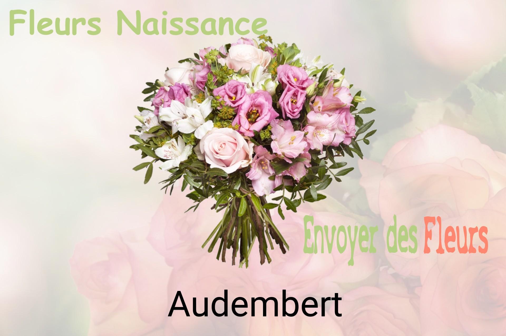 Bouquet de fleurs de naissance livré à Audembert